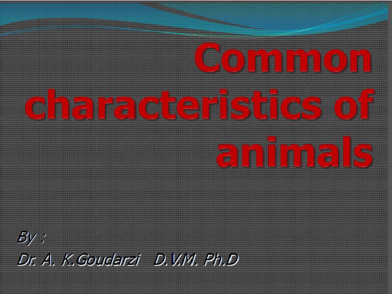 common characteristics of animals