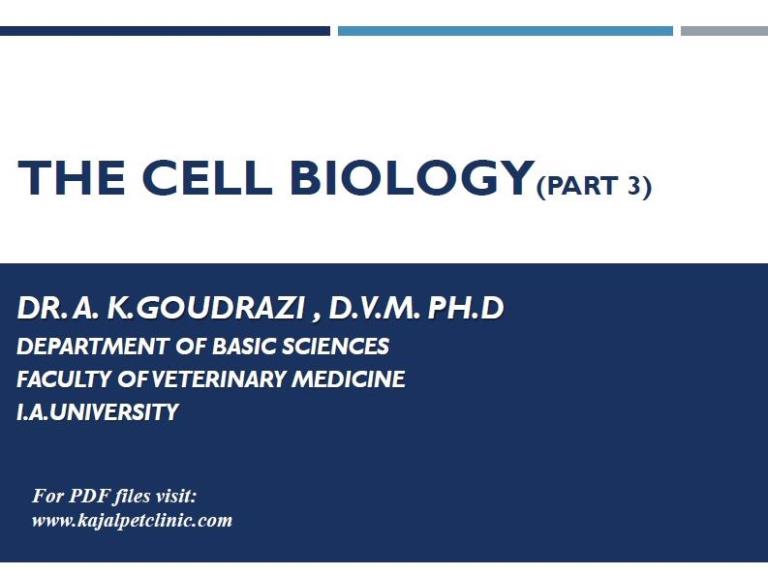 The cell biology (part three)