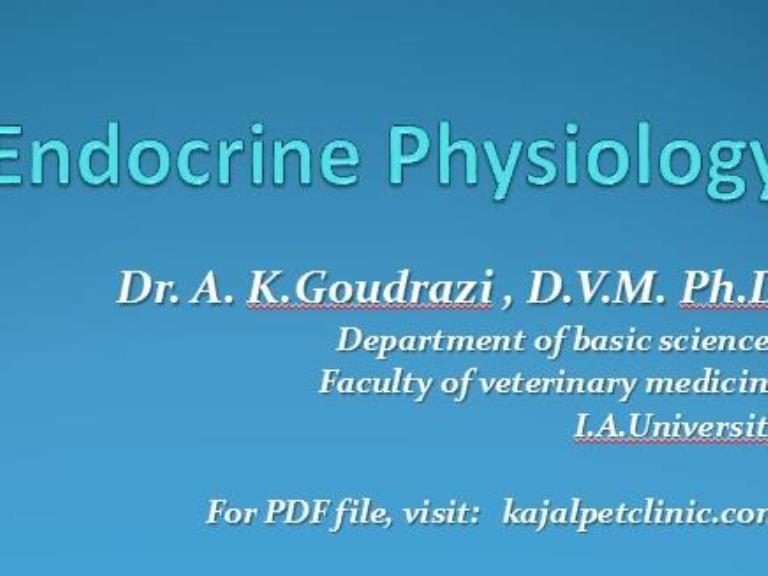 Endocrine sys physiology 