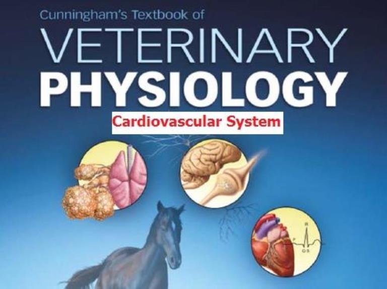 Cunningham physiology cardiovascular sys
