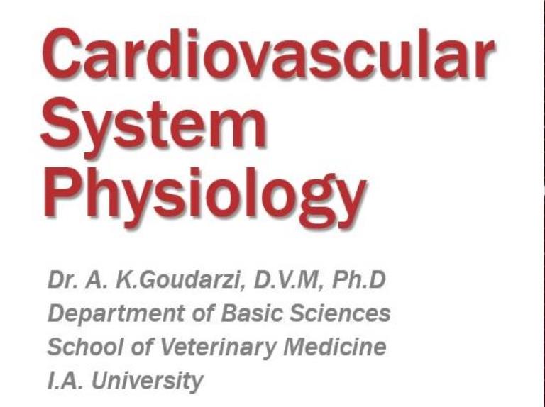 cardiovascular system physiology