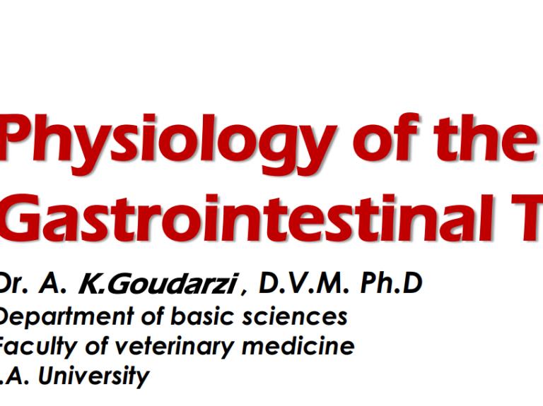 Physiology of the gsatrointestinal tract